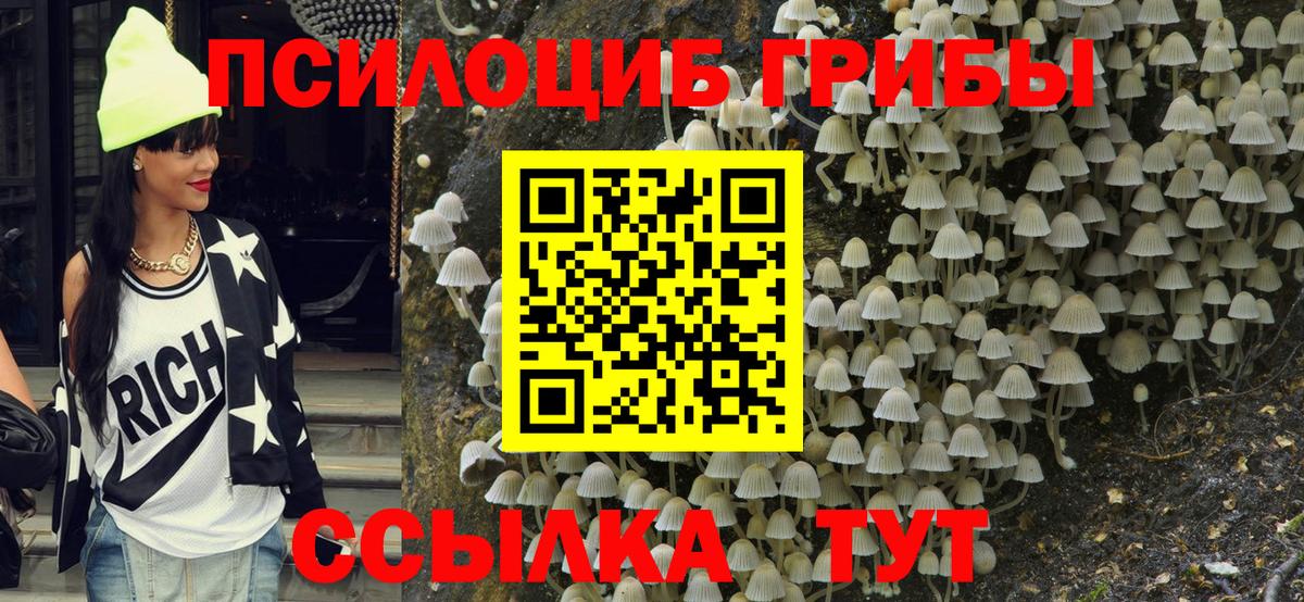 Псилоцибиновые грибы Cubensis  Вход с VPN  Екатеринбург  Галлюциногенные грибы GOLDEN TEACHER 